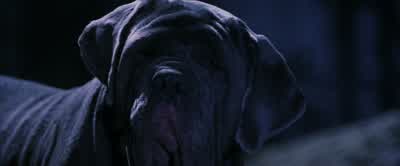 Wait till my father hears about this.This is servant's stuff. - Harry Potter and the Philosopher's Stone