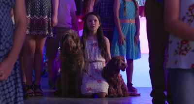 Wait, wait, wait.
I'm Bridget Montgomery. - Think Like a Dog