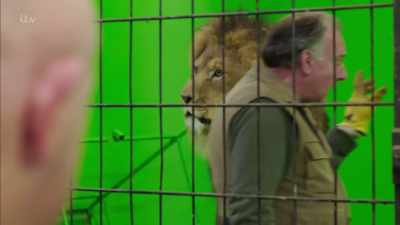 Wait, wait, wait. - Britain's Tiger Kings - On the Trail with Ross Kemp