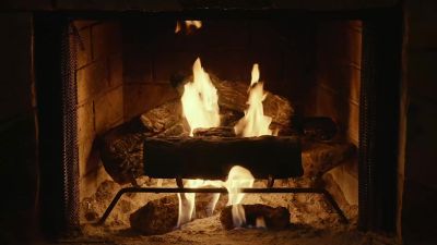 Wait. What are you --
No, you can't -- - Adult Swim Yule Log 2: Branchin' Out