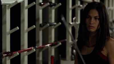 Wakizashi. - The Defenders