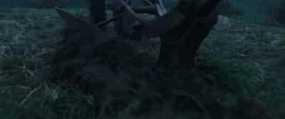 Walk on! - War Horse