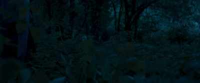 Walker 2: Open the
door, light the way. - Older Gods