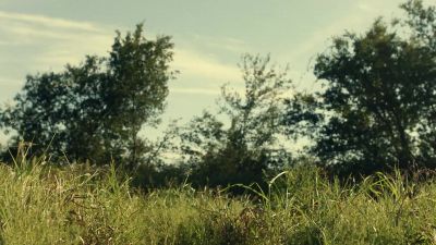 [Walkers growling in distance] - Fear the Walking Dead