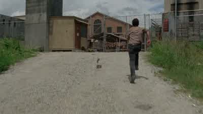 - Walkers in D! - The Walking Dead