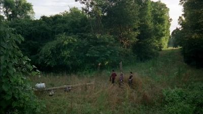 ( Walkers snarling ) - The Walking Dead
