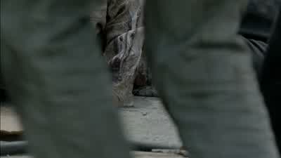 There's more coming. - The Walking Dead