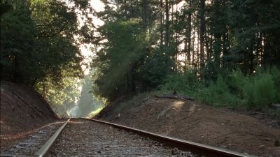 (walkers snarling) - The Walking Dead