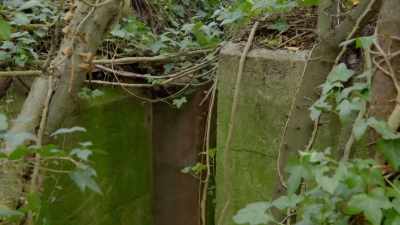 Walking along the canal, you've got undergrowth, - The Buildings That Fought Hitler