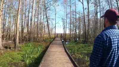 Walking through the swamp,
we struck up a conversation - American Highway