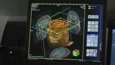 Wallach, voice-over:
The research Dani is doing - A Brief History of the Future