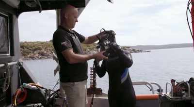 WALLER: I'm gonna
put her in the cage, - Shark Attack Files