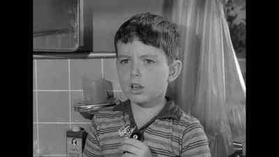 Wally? - Leave It to Beaver