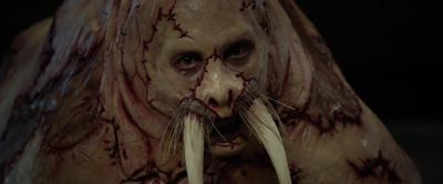 Walruses never cry - Tusk