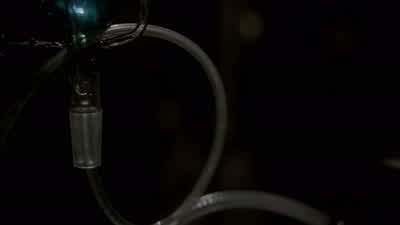 WALT: Keep the temperature steady at 425 degrees. - Breaking Bad