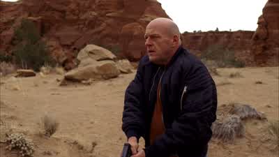 Walt! Come on out, Walt! - Breaking Bad