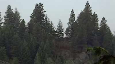 Walter:
As morning dawns on ruby ridge, - Oklahoma City