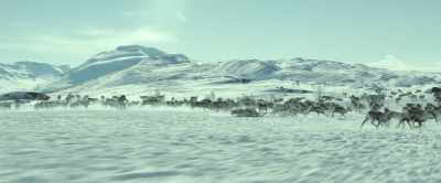 WALTER: He seems to have spent
weeks in this cabin. - The 12th Man