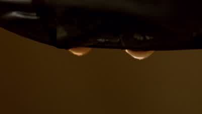 WALTER: I just wanted to say that... - Breaking Bad
