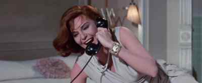 Walter! Walter, please excuse me. - Sweet Bird of Youth