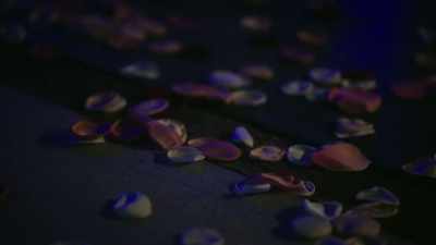 [waltz music] - Magic Carpet Rides