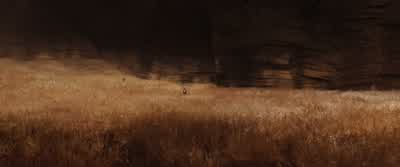 Nothing. - The Host
