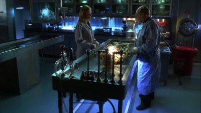Want a breast or thigh - CSI: Crime Scene Investigation