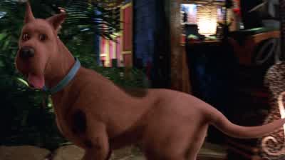 -Want a stuffed thingy? - Scooby Doo