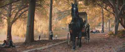 -Want me to take you to brunch?
-[nickers] - Black Beauty