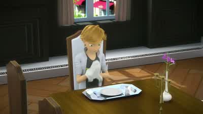 Waouh, ce déjeuner d'anniversaire était mémorable. - Miraculous: Tales of Ladybug & Cat Noir