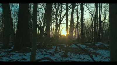 War, displaced populations, - Monsterland