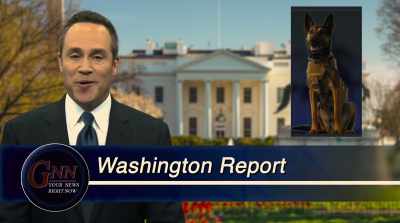 War hero, veteran, and now Secret Service? - Max 2: White House Hero
