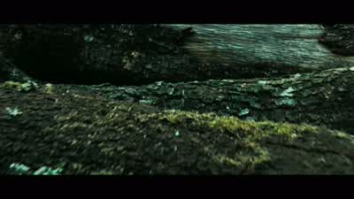 Warm wood. - Perfume: The Story of a Murderer