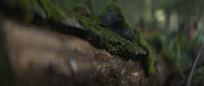 Was anyone else from my cabin hurt? - Percy Jackson and the Olympians