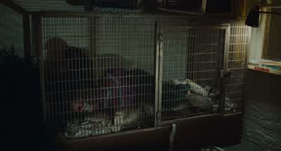 Was ever woman in this humour wooed? - Being John Malkovich