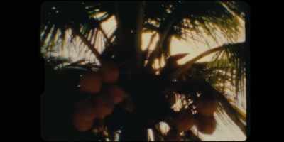 Was he, you know, traveling
places we don't know about? - Low Country: The Murdaugh Dynasty