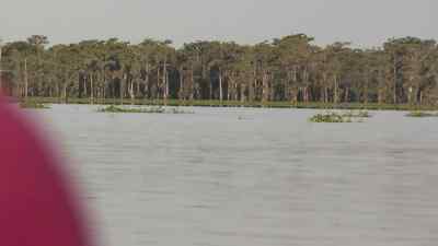 Was I over him or under him? - Swamp People