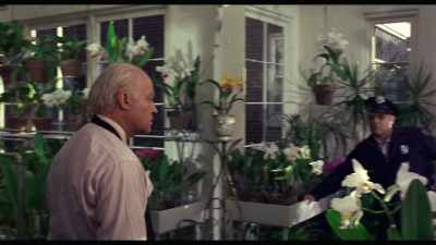 Was Mr. Colbert ever in this greenhouse, - Sidney