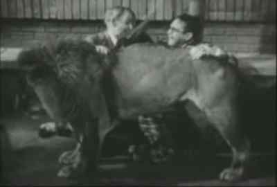 Was that part of the plan? - The Sin of Harold Diddlebock