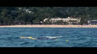 Was the beach cleared?
No, it wasn't. - Envoy: Shark Cull