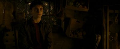 Was the day your mother - Harry Potter and the Half Blood Prince
