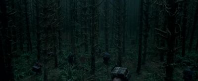 Was it the right decision? - The Revenant