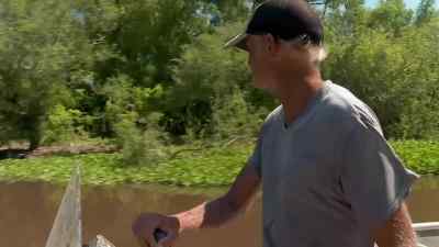 Washing them lilies around
and everything, - Swamp People