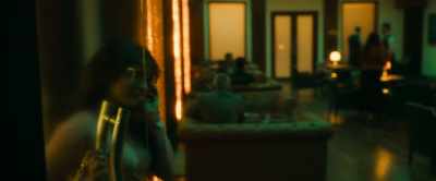 - Wasn't I on fire?
- Fire? - Citadel Honey Bunny