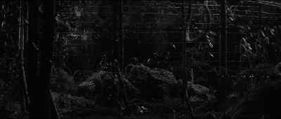 Watch your back. - Guns at Batasi