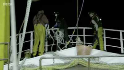 Watch your fingers, all right? - Cornwall: This Fishing Life