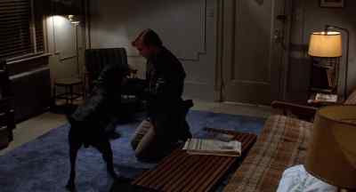 Watch my glasses, Ralph. Watch 'em. - Eyewitness