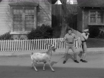WATCH IT, BARNEY.
WATCH IT, BARNEY. - The Andy Griffith Show
