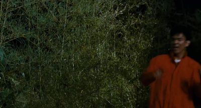 Watch out for cheetahs - Harold &amp; Kumar Escape from Guantanamo Bay