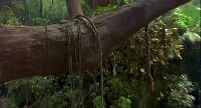 Watch out for that tree - George of the Jungle